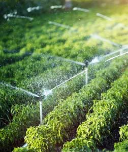 Irrigation-well-service